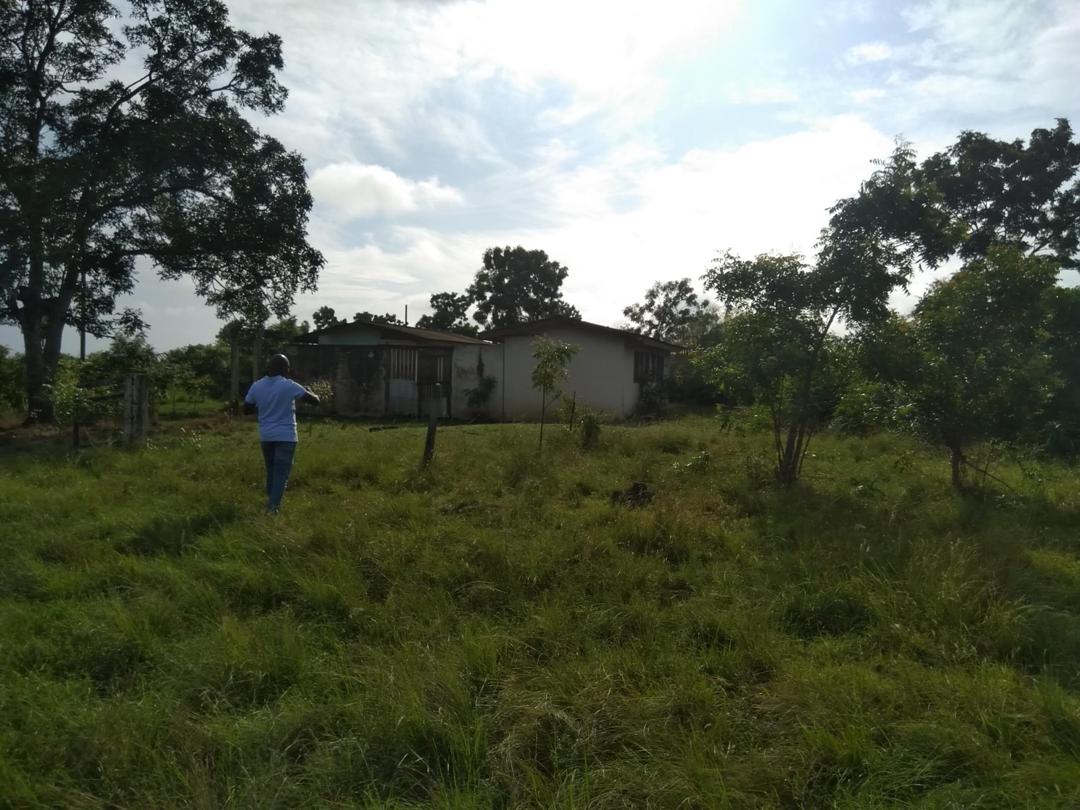 farm (1)