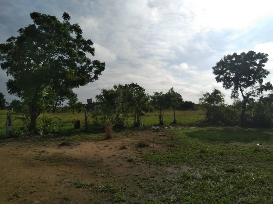 farm (3)